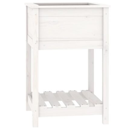 Jardinière bac lit surélevé plantes fleurs terrasse jardin avec étagère 54 x 54 x 81 cm bois massif de pin blanc 02_0038395