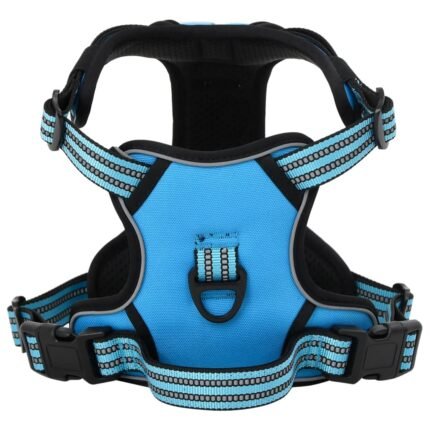 Harnais pour chien avec laisse et collier réglables L Blue 02_0042319
